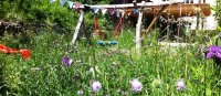 Web_2016_Impressionen-110